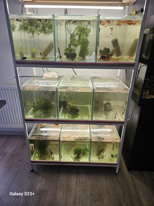 Acvariu de vanzare 450litri, 160litri,110litri cu