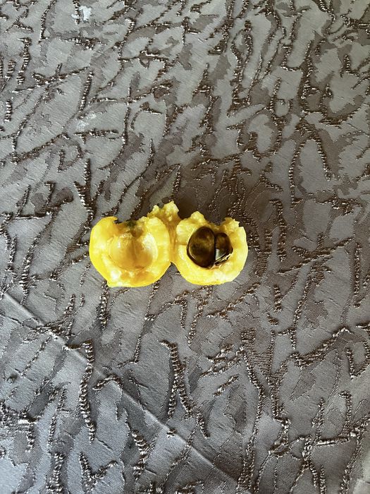 Дърво Японски мушмул