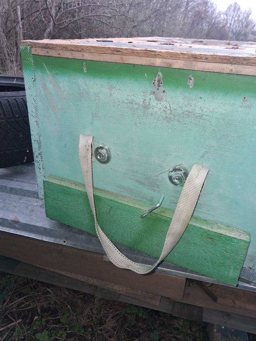 Vand stupi de plastic