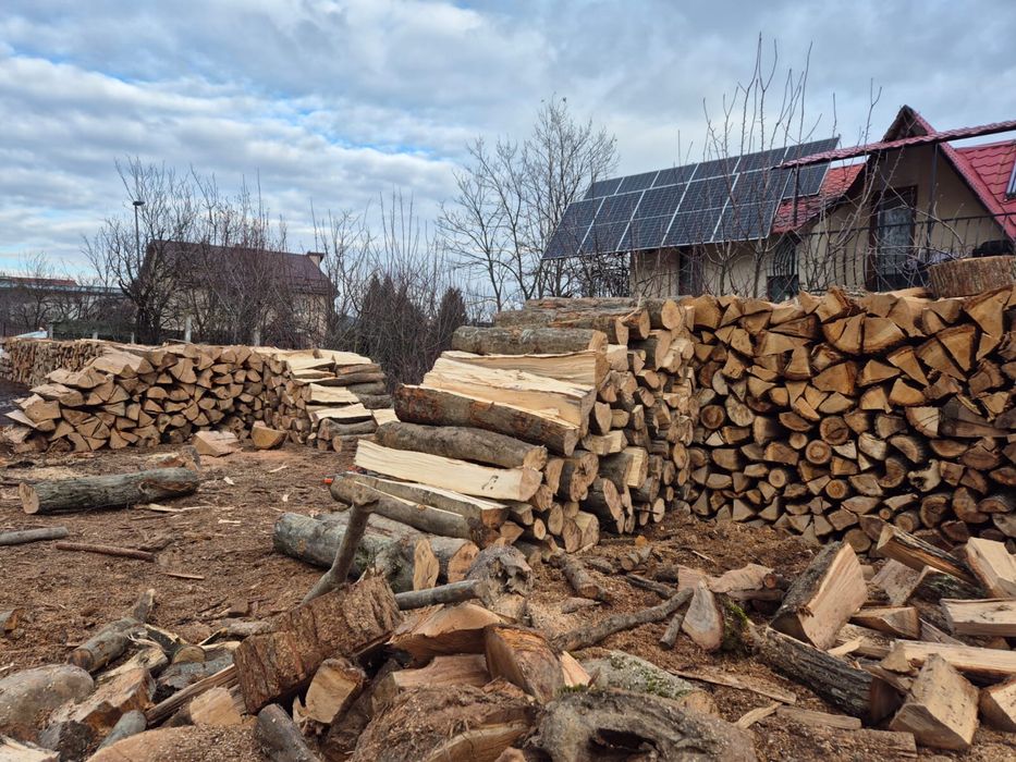Lemne de foc fag și stejar – Cluj-Napoca – livrare din stoc