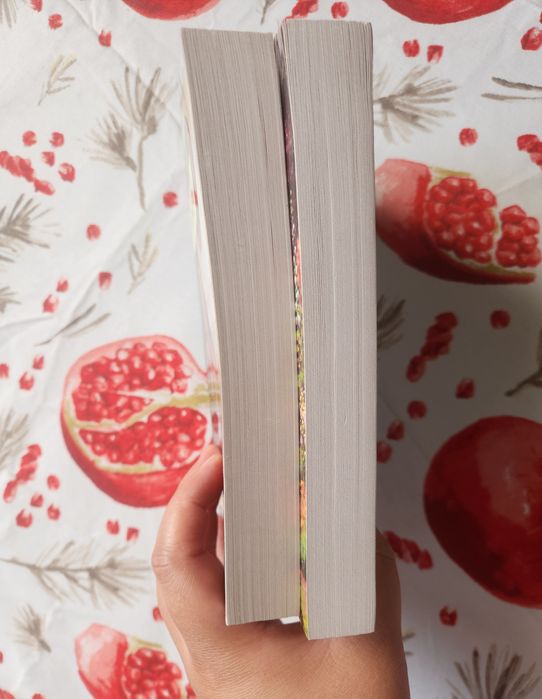 "Незнакомка из Уайлдфелл-холла" и "Север и Юг"