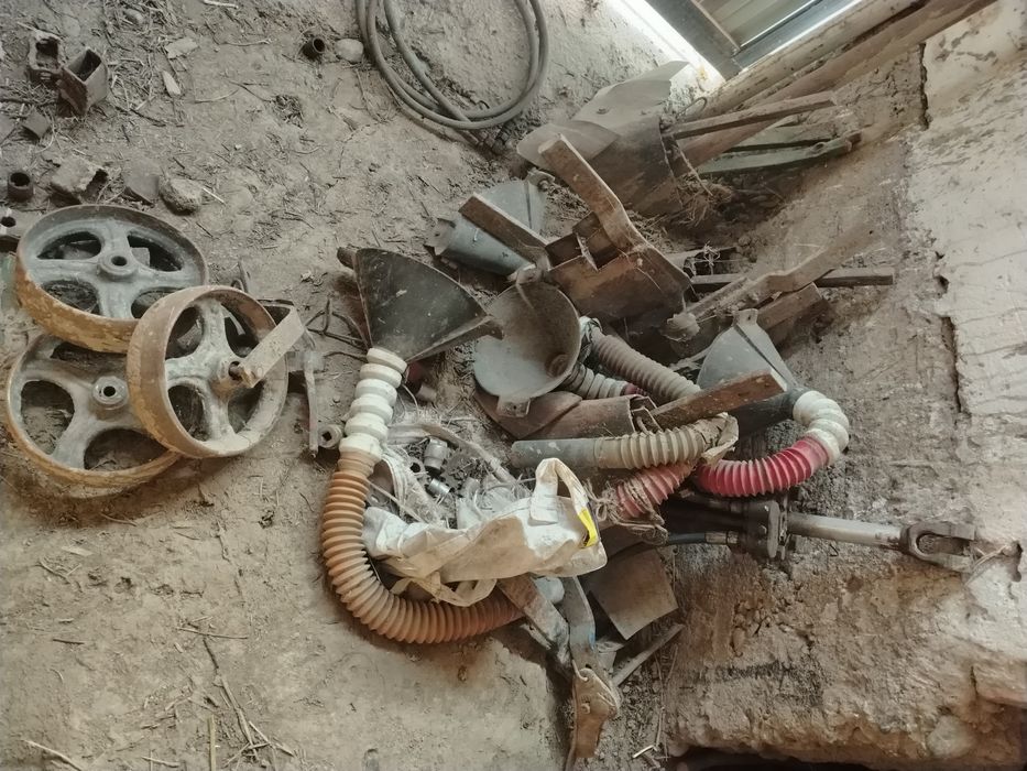 Kultuvatsa sus sotiladi selka