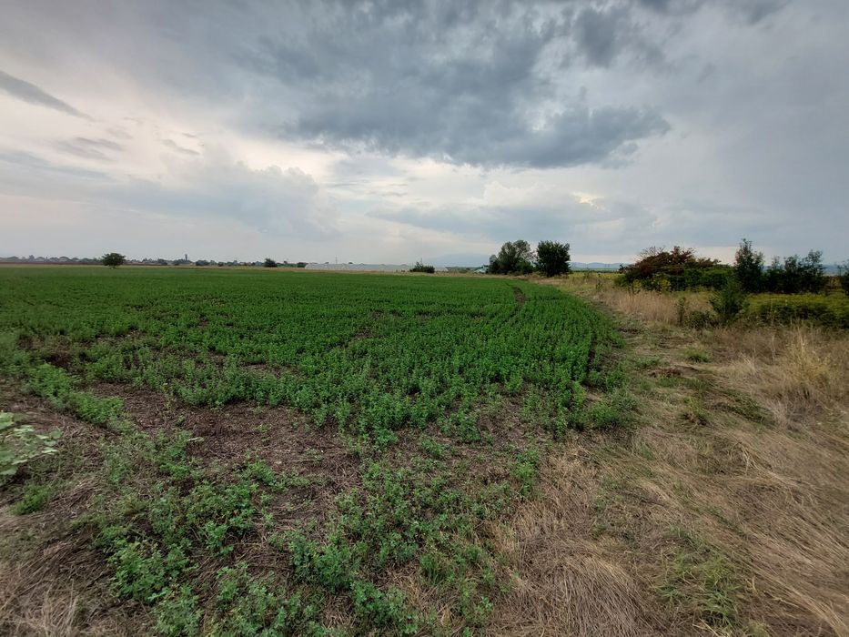 Продава земеделска земя 7 дка в с. Петърч