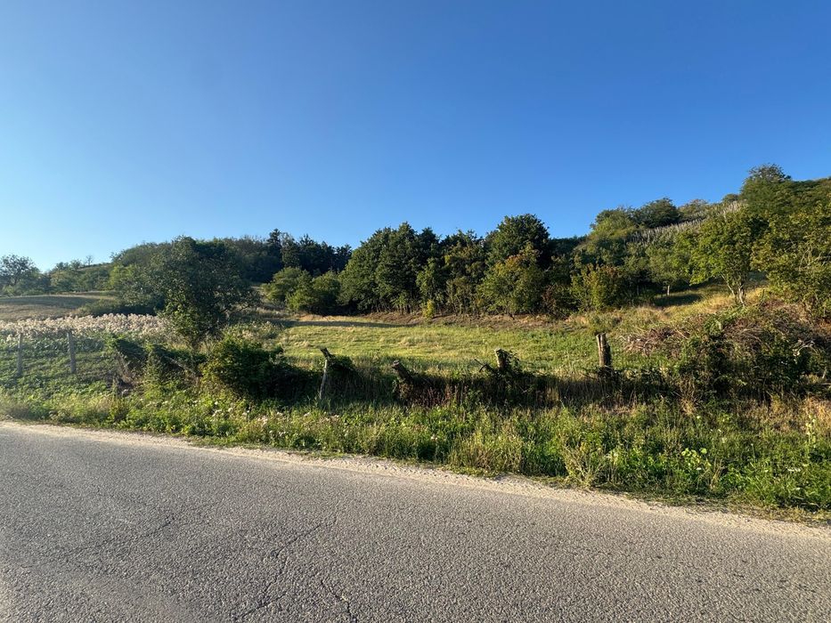 Teren intravilan de vânzare