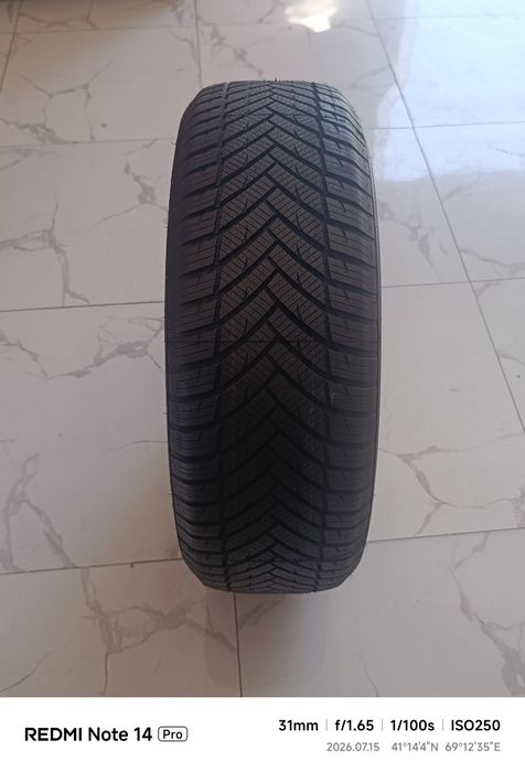 MENERVA 235/65/17