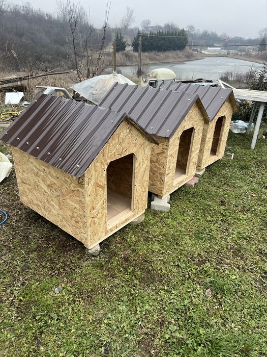 Vand cotet caine diferite dimensiuni