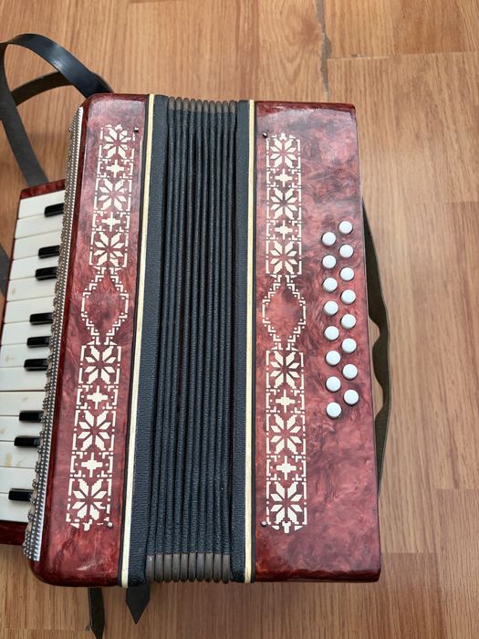 Acordeon Malysh de adolescenți !