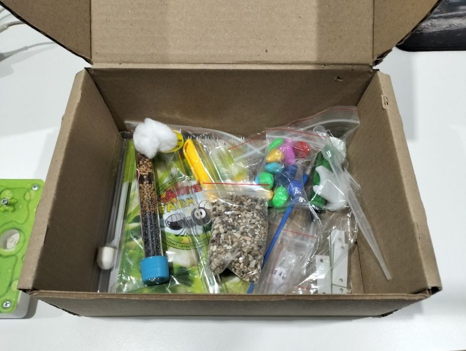 Ферма для муравьев