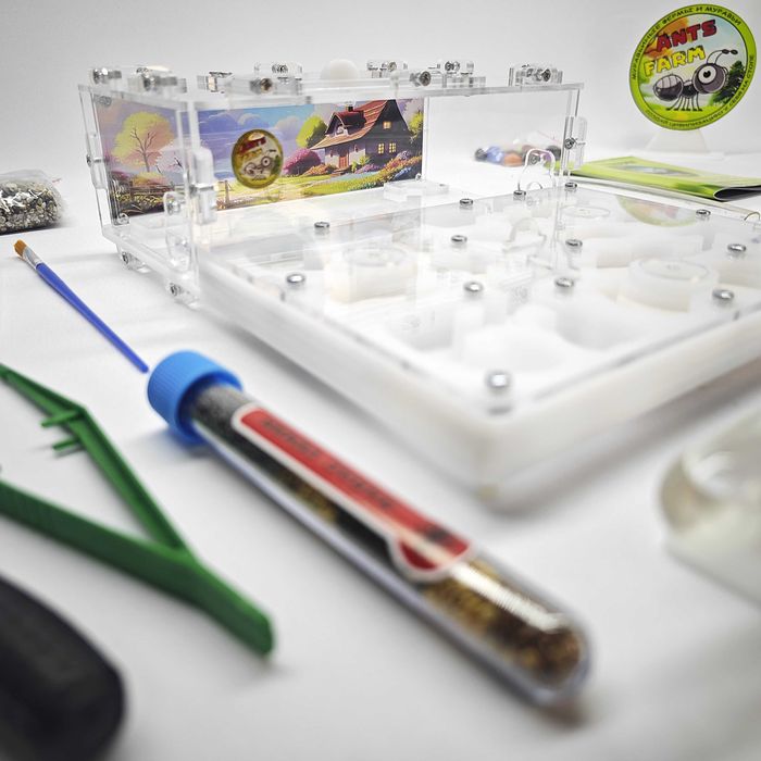 ГИПСОВЫЙ Формикарий "ADVANCED" ||| Муравьиная ферма - Муравьи жнецы