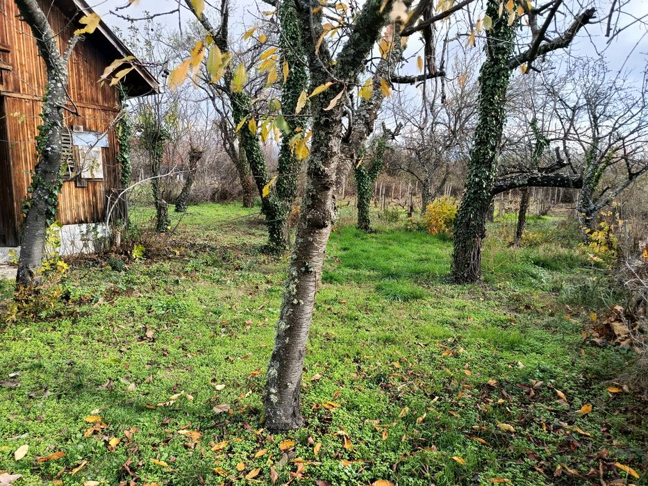 Вила източно от военния полигон в Казанлък