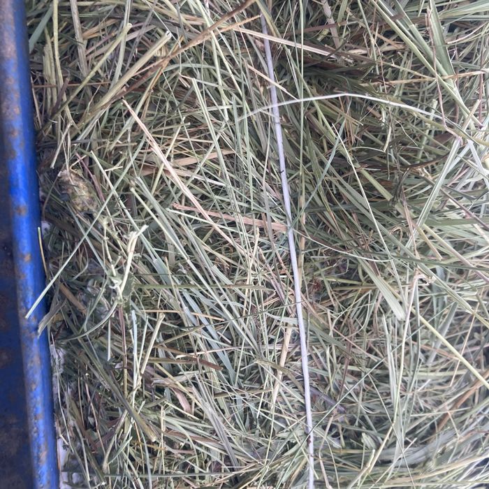 Сено Тюки Рулон…..