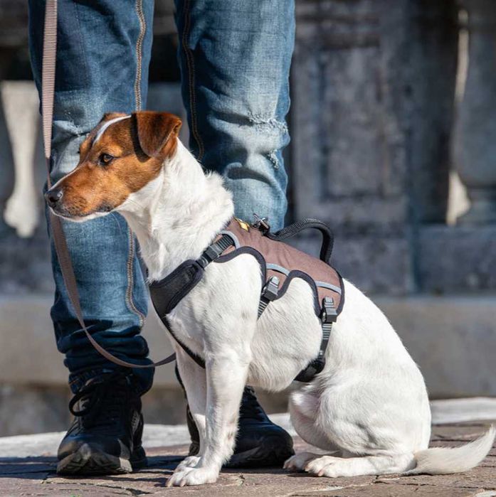 Ham caine, Ferplast ERGOTREKKING, Marime S, Maro, Reglabil