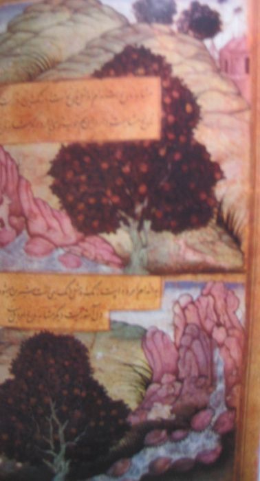 Бабур две книги с иллюстрациями