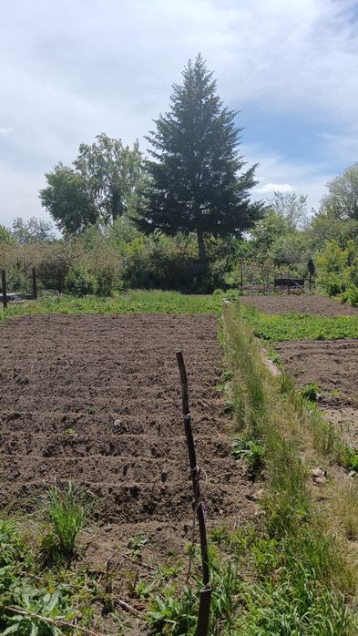 Продам Дачный участок