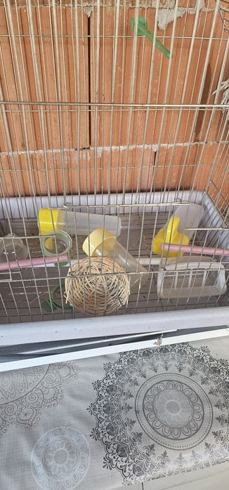 Клетка за папагал