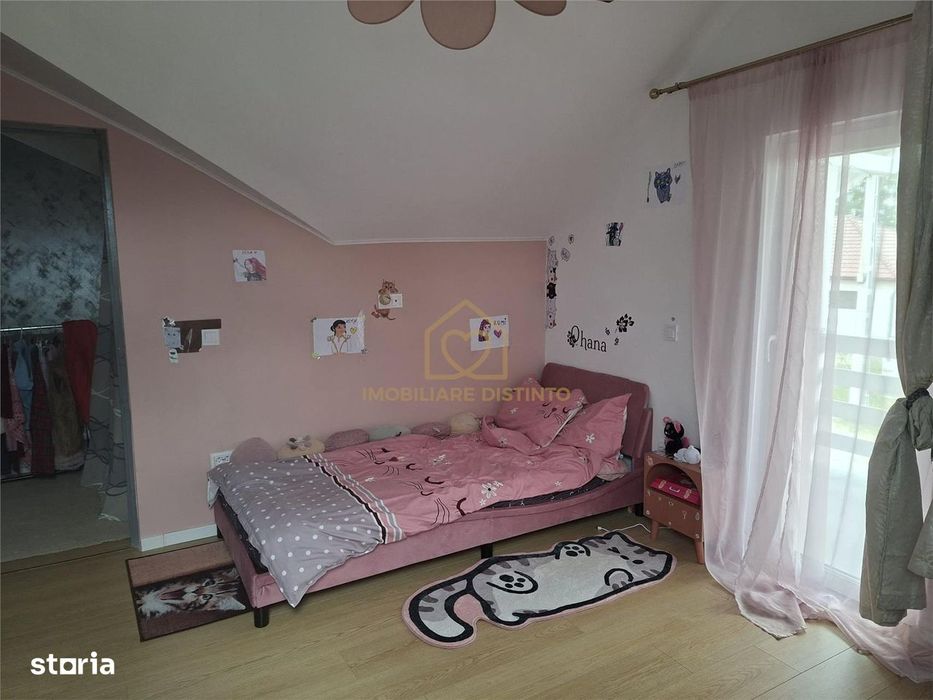 Casa deosebita in Satu Nou de Sus