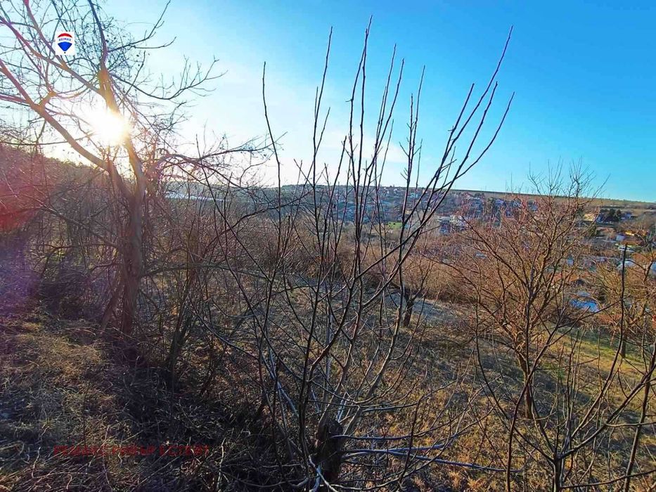 Горски масив в района на Лесопарк Липник