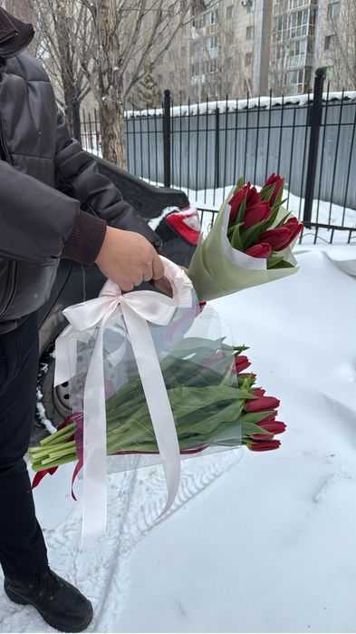 Тюльпаны продаю