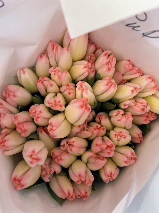 Продам тюльпаны 800т