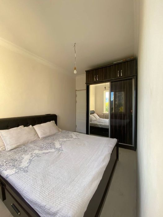 Кора камиш 1/4 3/4/4