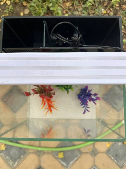 Комплект орка сампли аквариум сотилади