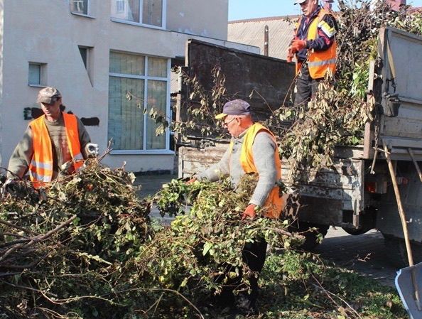 Вывоз мусора недорого