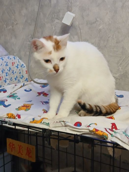 Девочка стерильная дарю