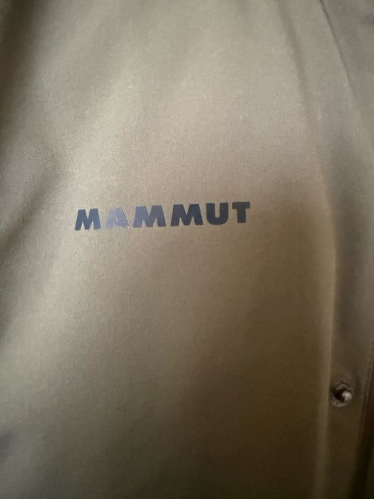 Jacheta Mammut , autentica
