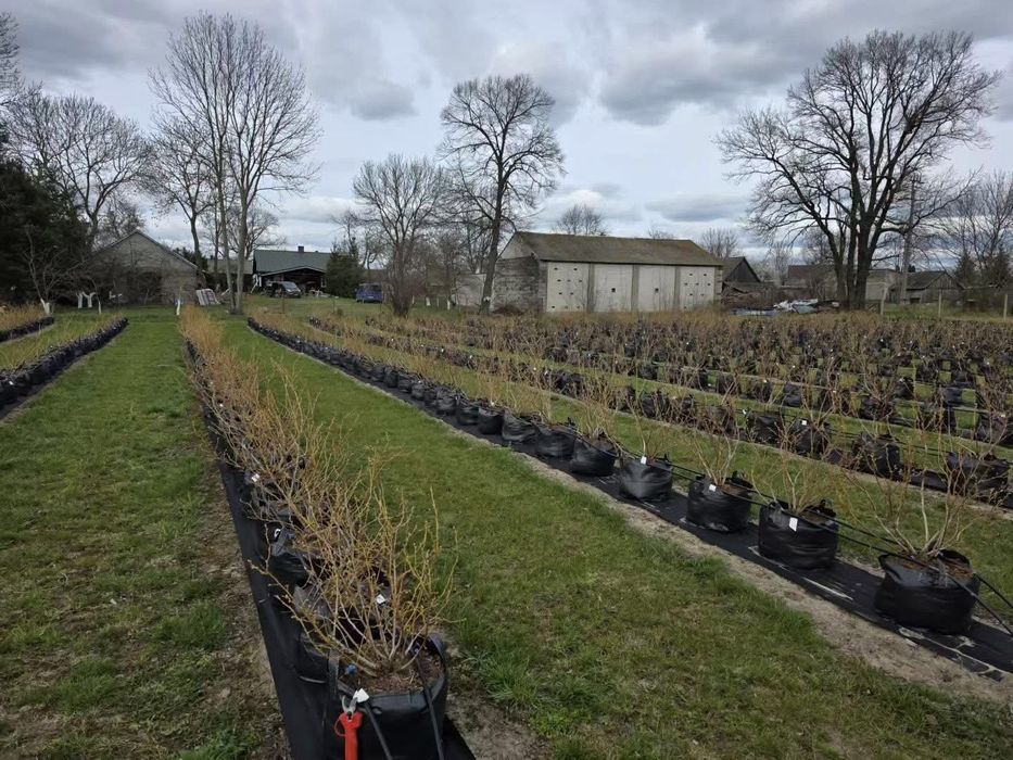 Чанти за отглеждане на растения