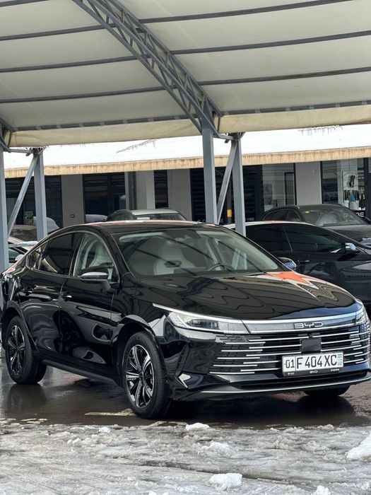 Byd chazor full 2024