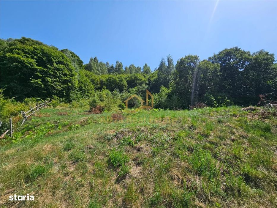 Alzza Real Estate – Teren intravilan de vanzare in Salicea, Cluj – 117