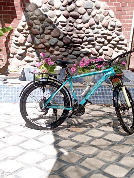 Velosapet sotiladi