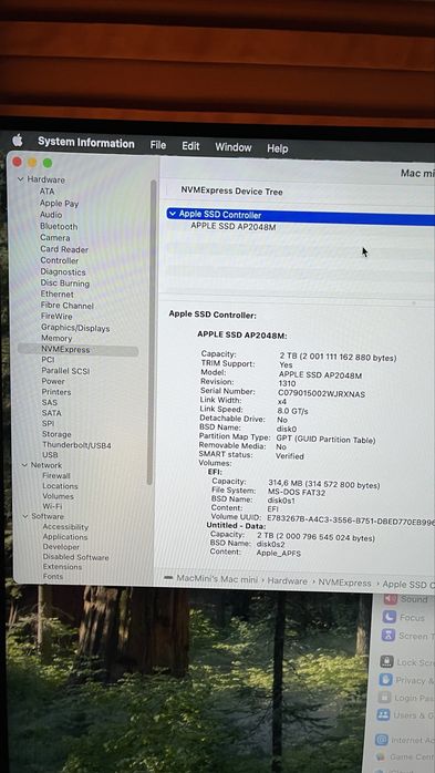 Mac mini 8.1   i7  6 core 32gb  2TB