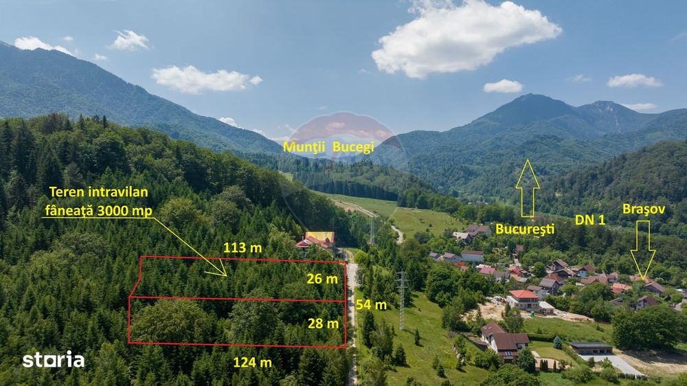 Teren intravilan, 3000 mp, Dâmbu Morii
