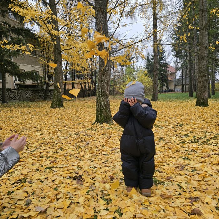 Cautăm bonă pentru un băiețel de 2 ani.
