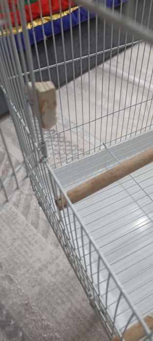 Клетка для попугая большая. Торг.
