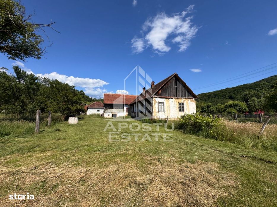 Casa batraneasca cu teren de 3.334mp, in Baia de Cris, Hunedoara