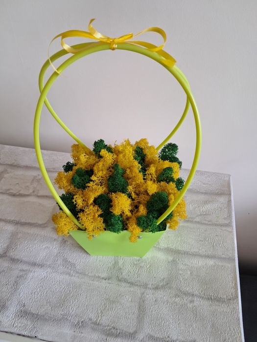 Кошнички със скандинавски мъх