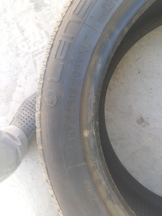 Balon shina R19 2 dona