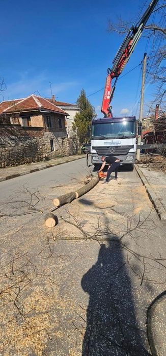 Рязане и премахване на дървета