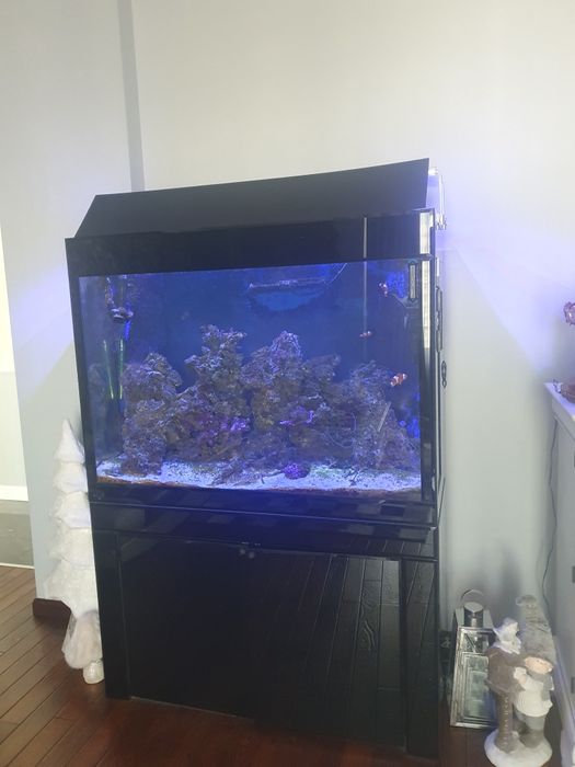 Ocazie! Acvariu marin complet echipat