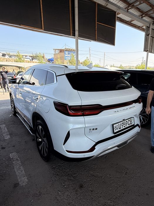 Byd chempion 605 tali tozza