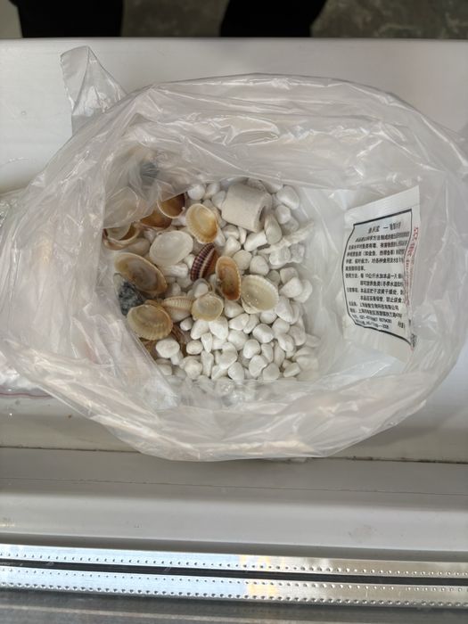 Аквариум для маленьких рыб