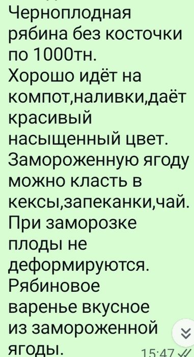 Ченоплодная рябина 1000тг