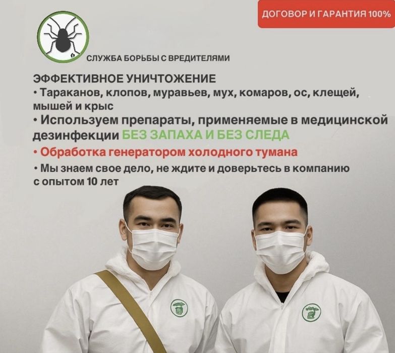 Профессиональная дезинфекция