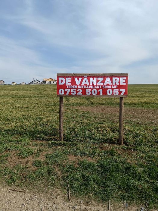 Teren INTRAVILAN Branistea GALATI 5000 m2
