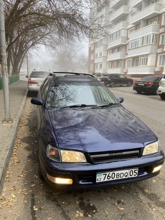 Caldina/Калдина