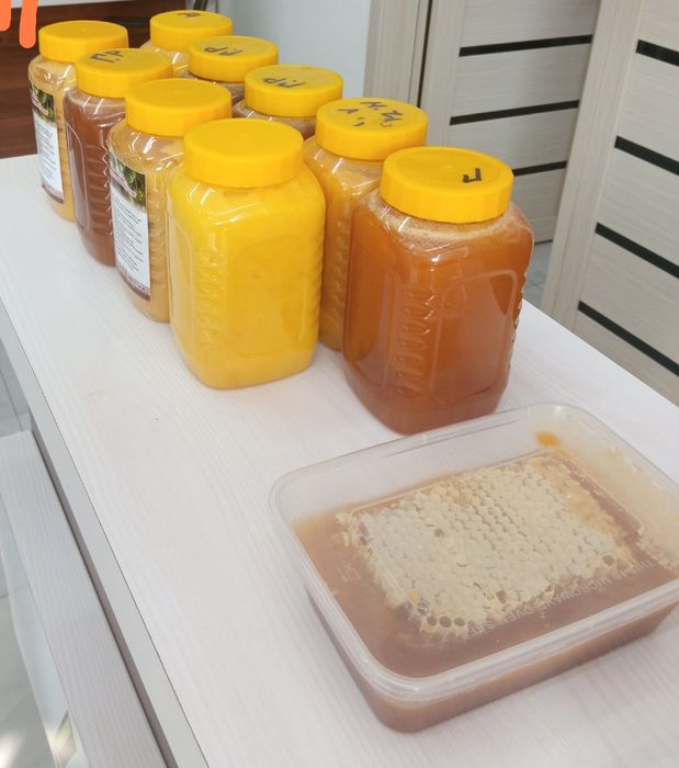 Ta'biy asal sotaman      продаю Мёд  оптом