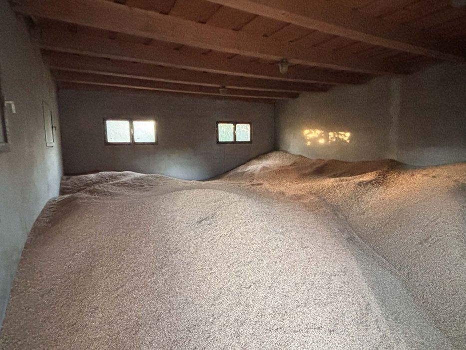 Vând cereale plus lucernă
