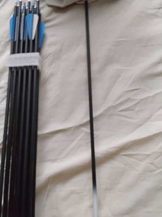 Sageti pentru arc de 79 cm(30inch),carbon,cu varf(3lame) sau fara ,noi